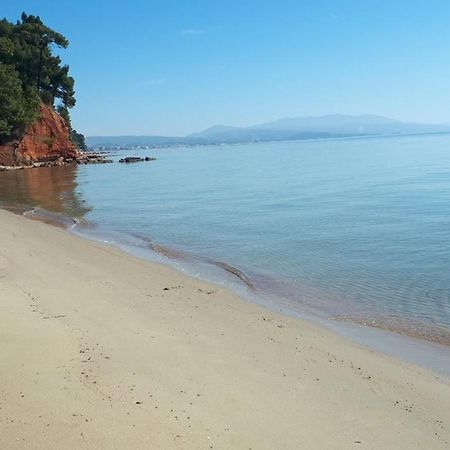 Sithonia Alekos Luxury Experience Apartment Metamorfosi  Exterior photo